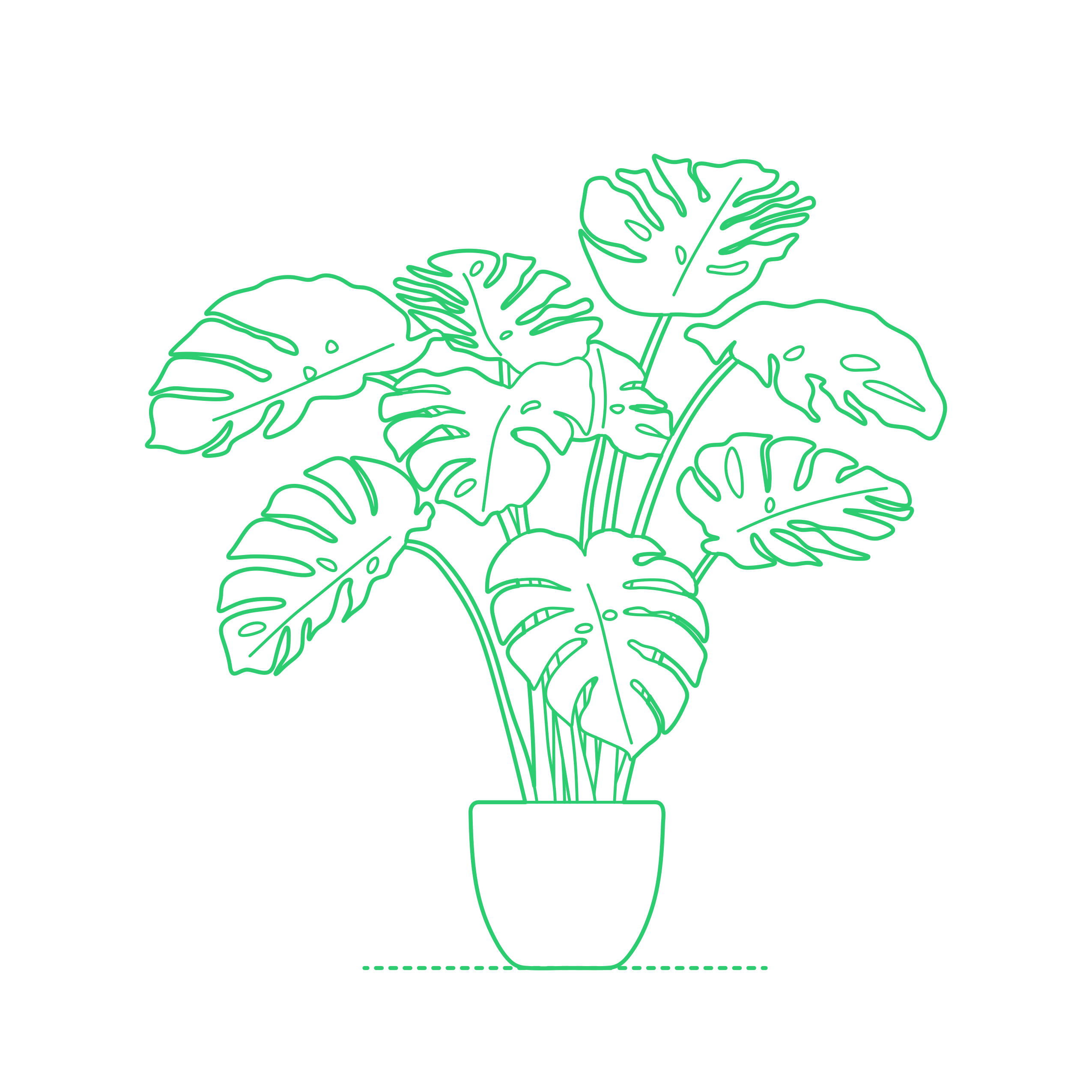 Plants Indoor Split Leaf Philodendron Outline Drawing Svg Vector Free Vectors